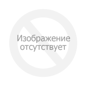 Защита радиатора Renault Arkana